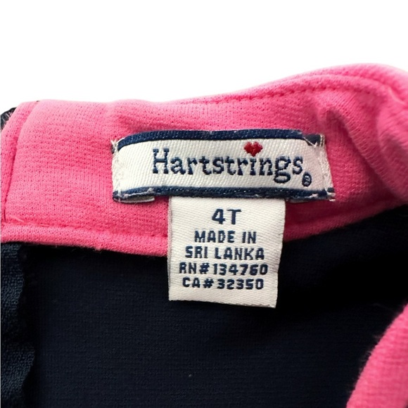 Hartstrings | Drop Waist Flower Appliqué Dress (4T) 🌸 - Picture 5 of 6